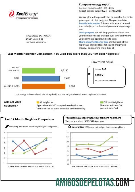 imprimível Modelo de conta de serviços públicos de energia dos EUA Minnesota Xcel Energy em formatos Word e PDF